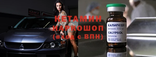 СК Алексин
