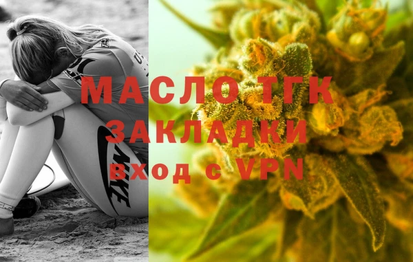 СК Алексин