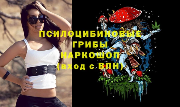 герыч Алзамай