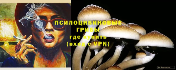 PSILOCYBIN Покров